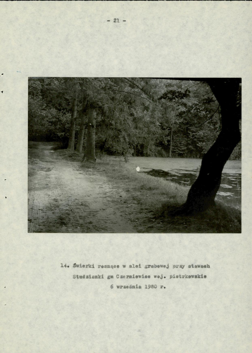 EP - Ewidencja parkowa, skan nr 30