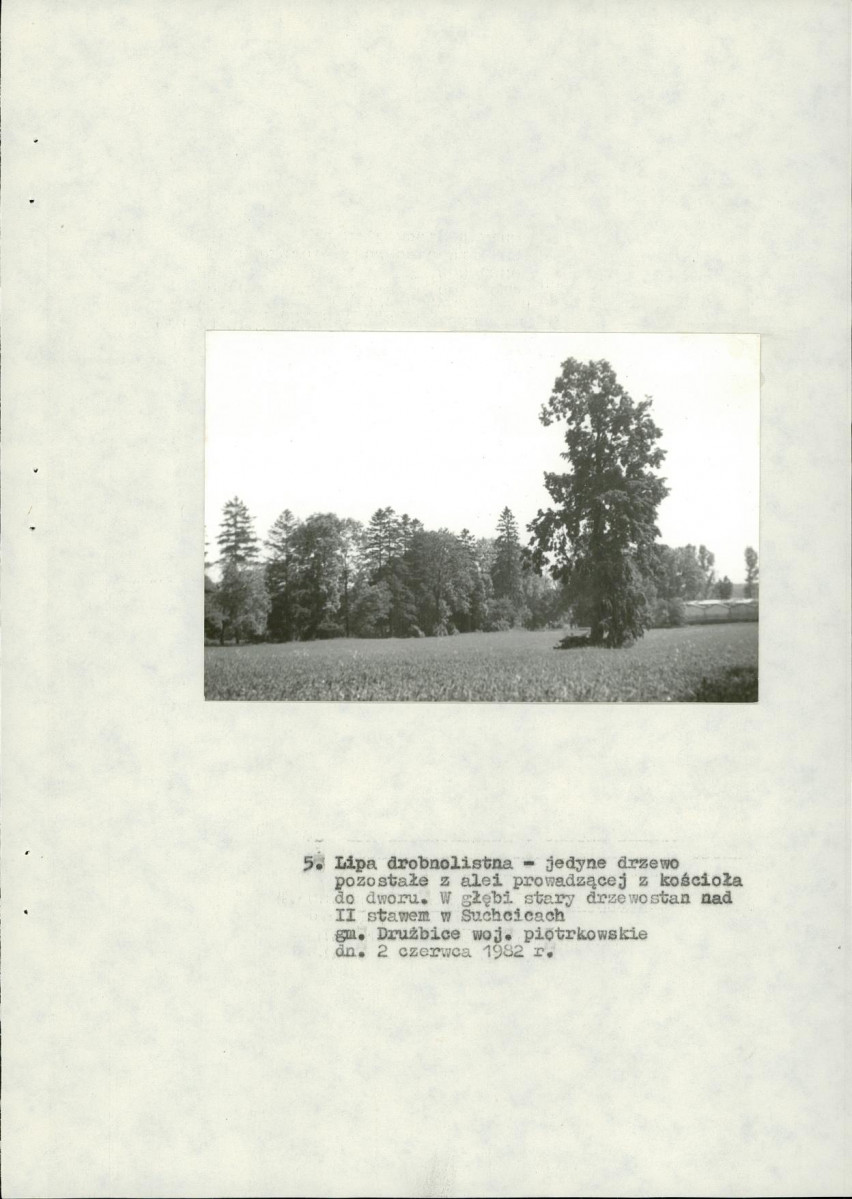 EP - Ewidencja parkowa, skan nr 22