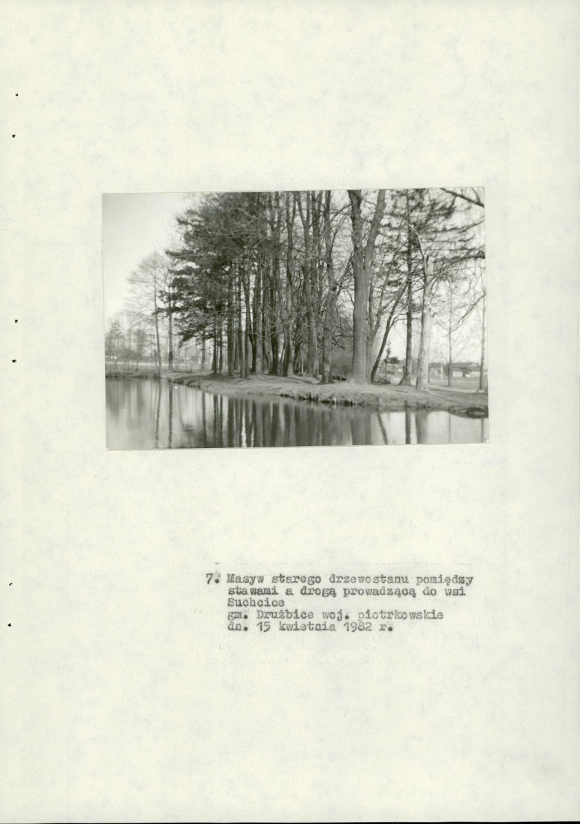 EP - Ewidencja parkowa, skan nr 24