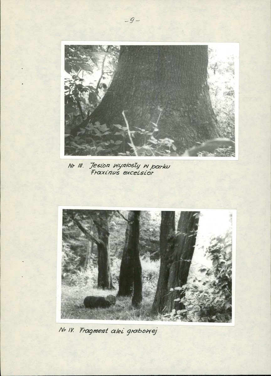 EP - Ewidencja parkowa, skan nr 15