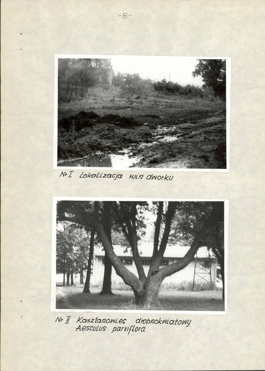Ewidencja parkowa, skan nr 14