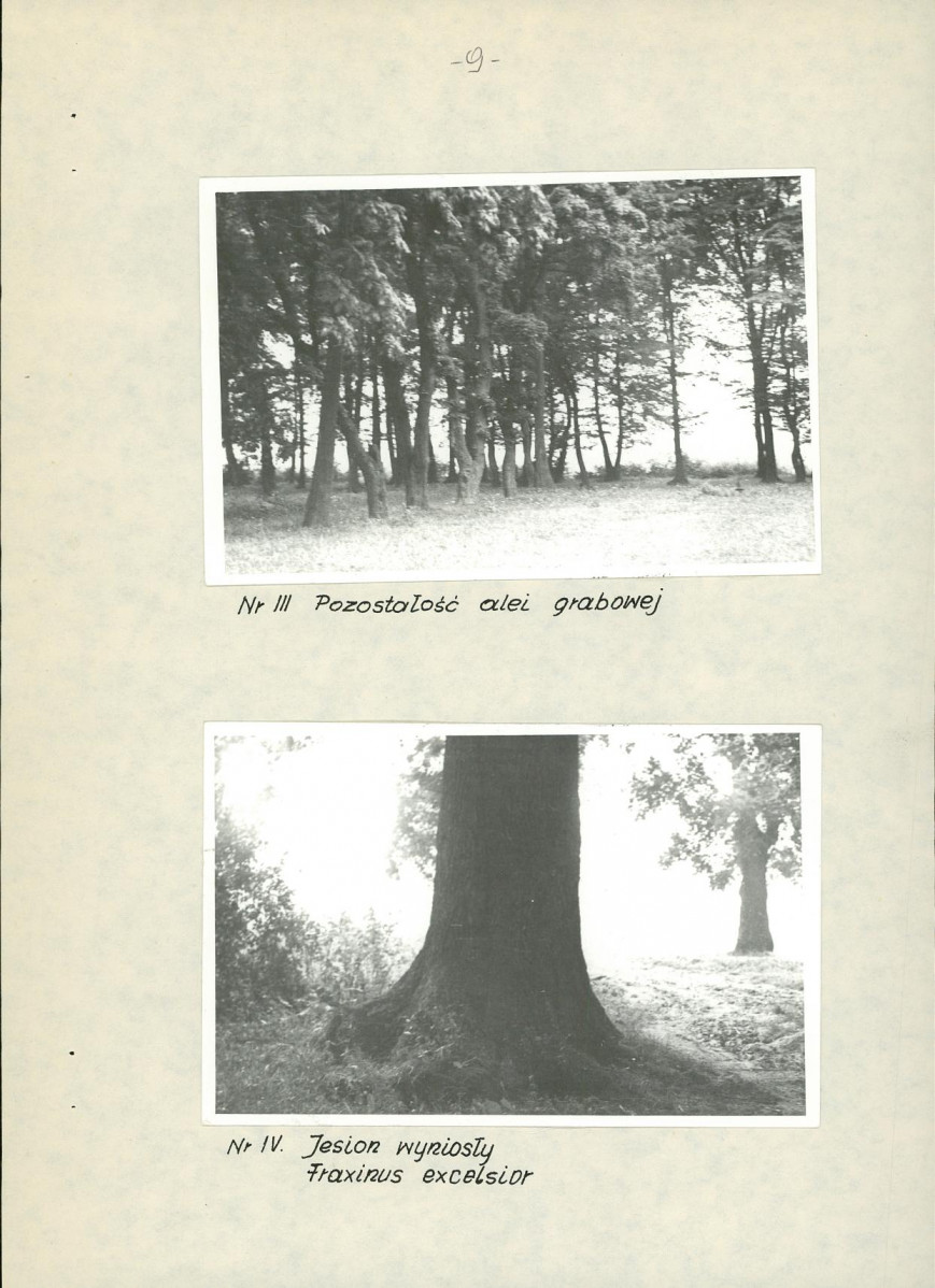 Ewidencja parkowa, skan nr 15