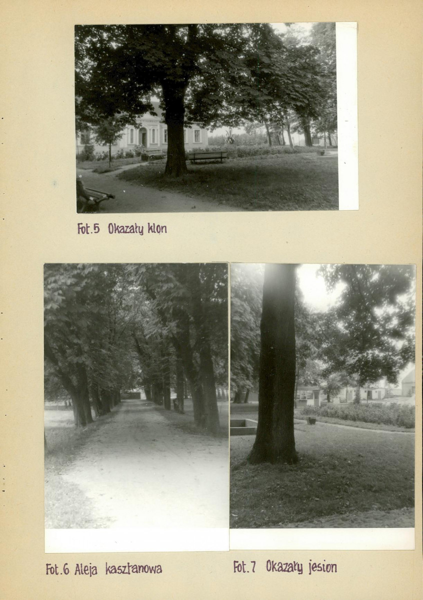 Ewidencja parkowa, skan nr 18
