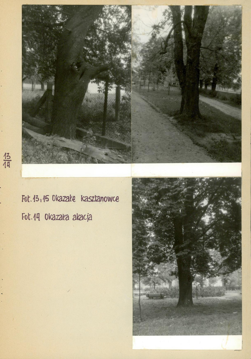 Ewidencja parkowa, skan nr 21