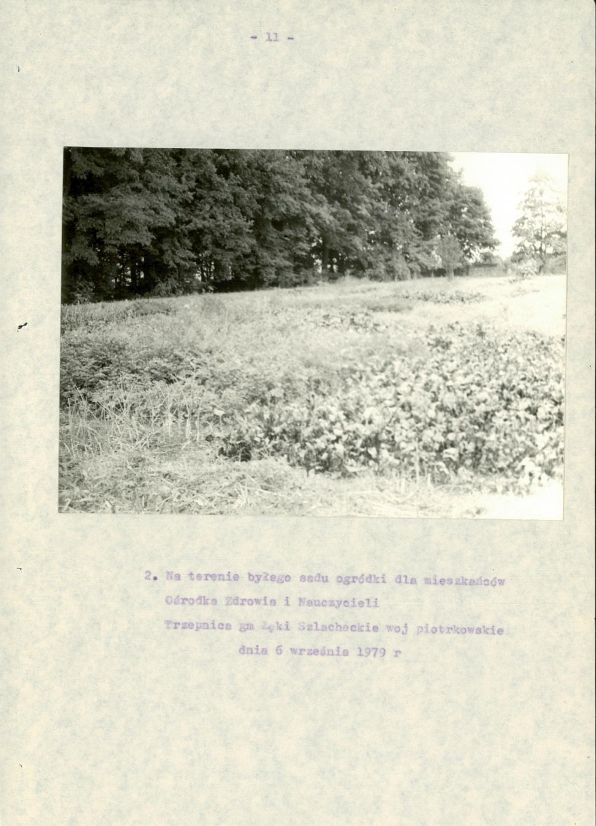 EP - Ewidencja parkowa, skan nr 16