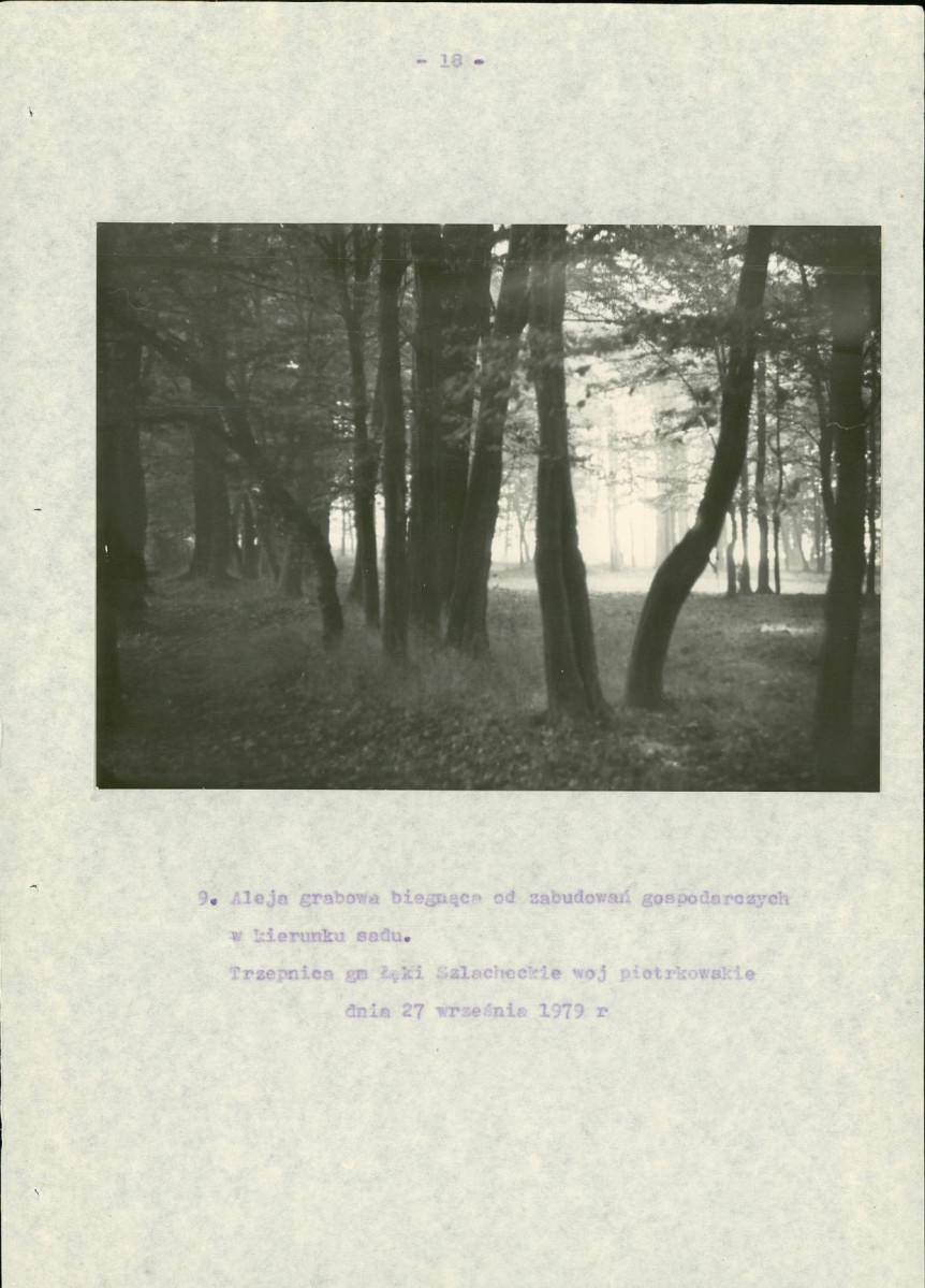 EP - Ewidencja parkowa, skan nr 23