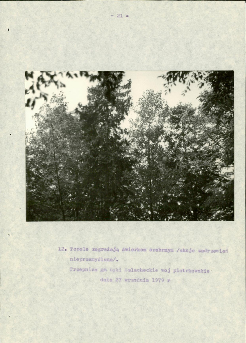 EP - Ewidencja parkowa, skan nr 26