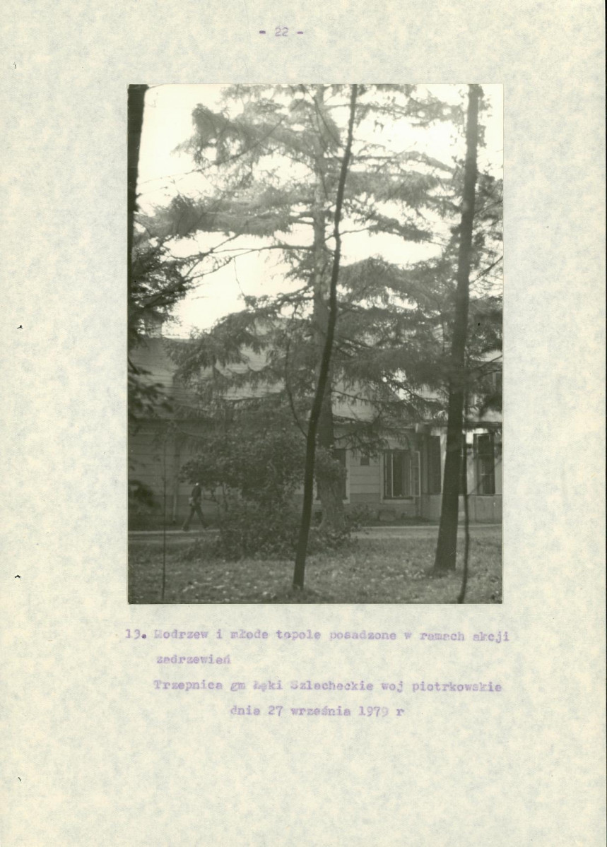 EP - Ewidencja parkowa, skan nr 27