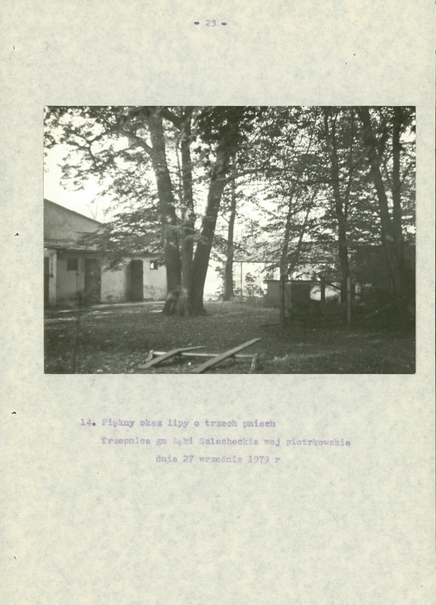 EP - Ewidencja parkowa, skan nr 28