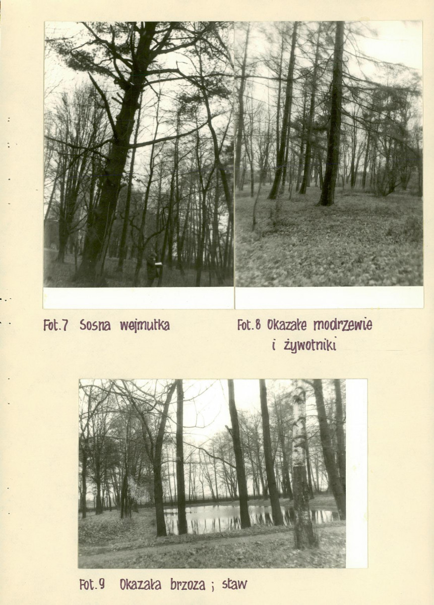 Ewidencja parkowa, skan nr 22