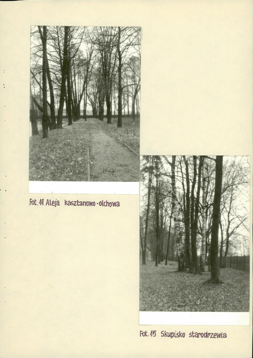 Ewidencja parkowa, skan nr 25
