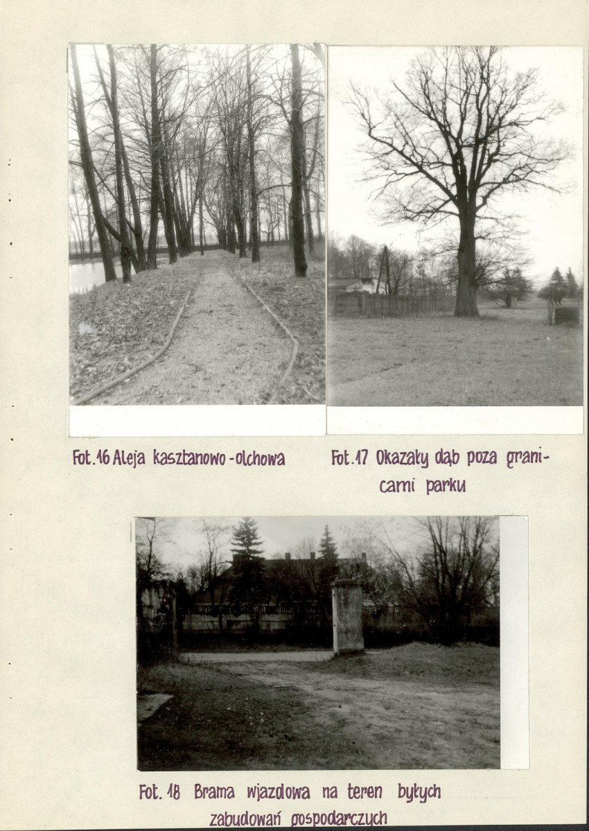 Ewidencja parkowa, skan nr 26