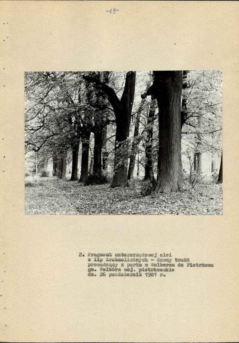 EP - Ewidencja parkowa, skan nr 27