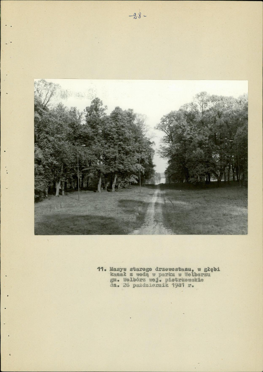 EP - Ewidencja parkowa, skan nr 36