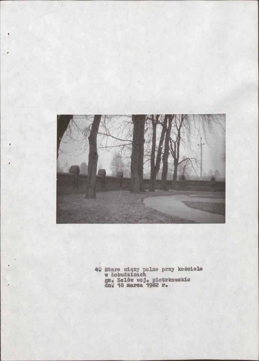 EP - Ewidencja parkowa, skan nr 22