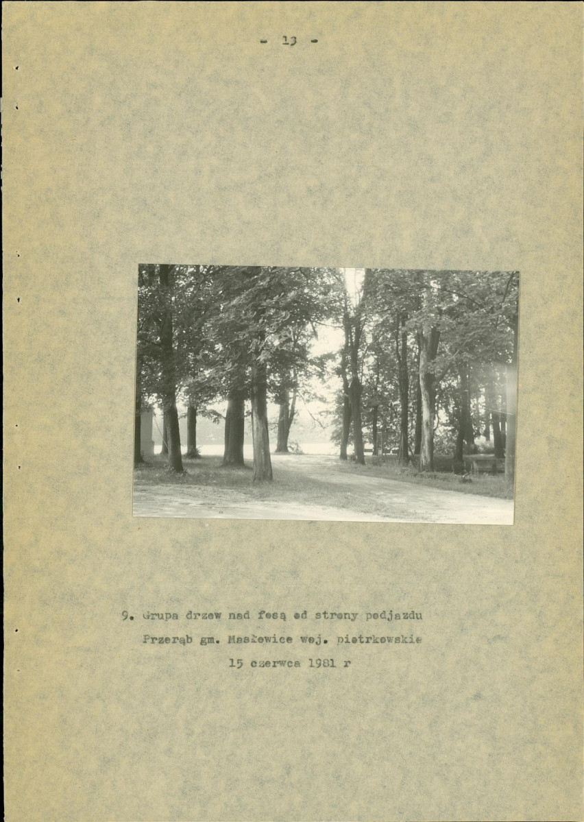 Ewidencja parkowa, skan nr 22