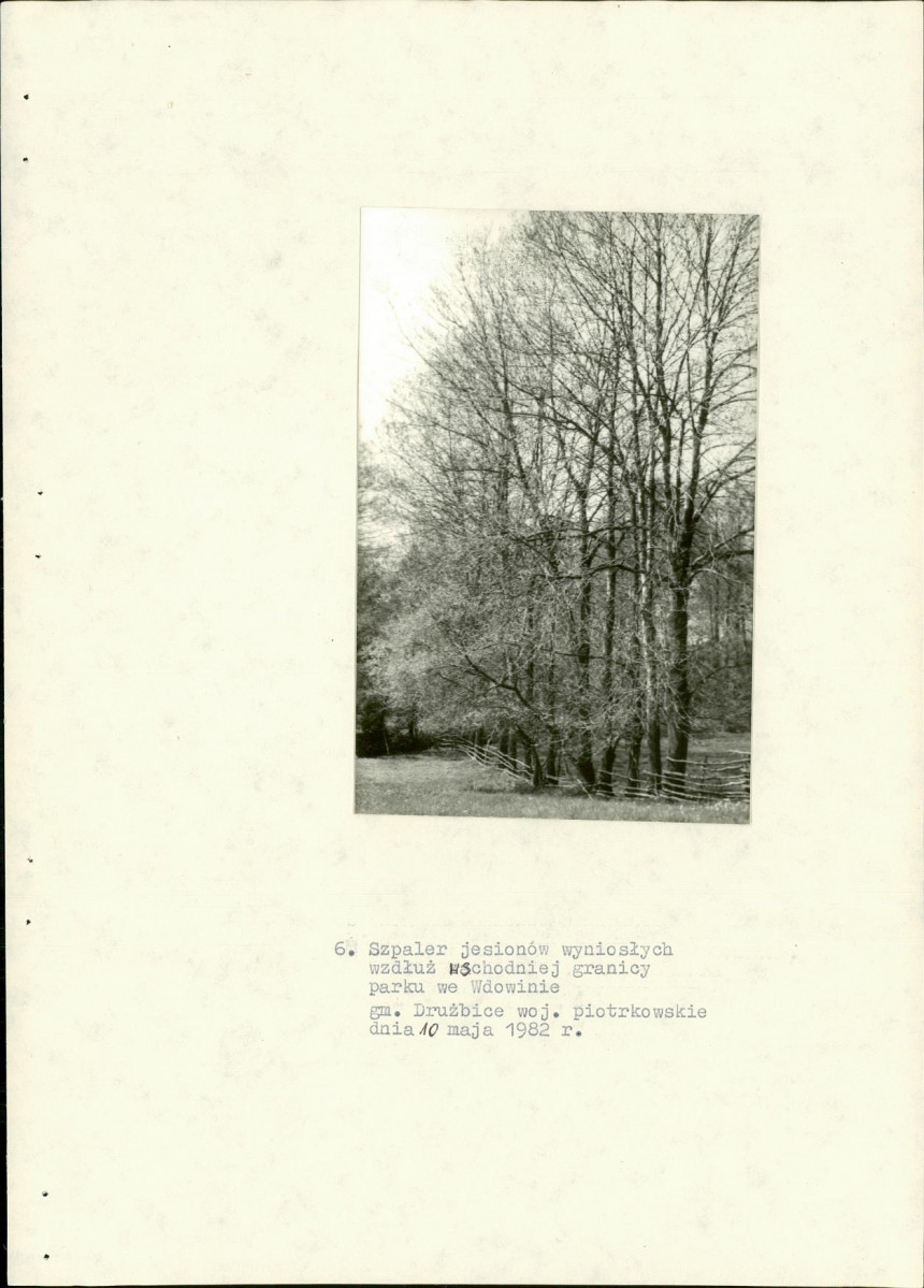 EP - Ewidencja parkowa, skan nr 21