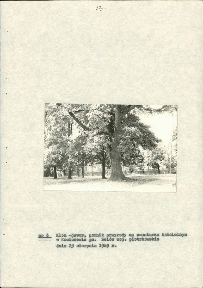 EP - Ewidencja parkowa, skan nr 18