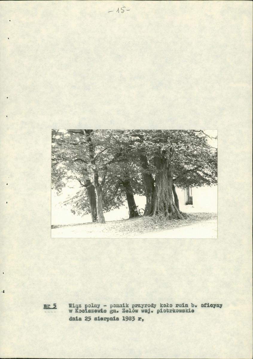 EP - Ewidencja parkowa, skan nr 20