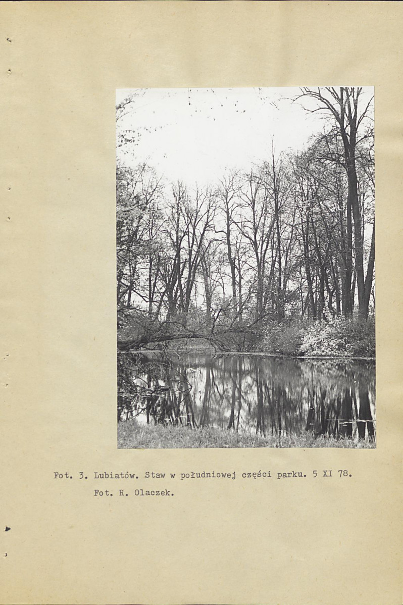 Ewidencja parkowa, skan nr 14