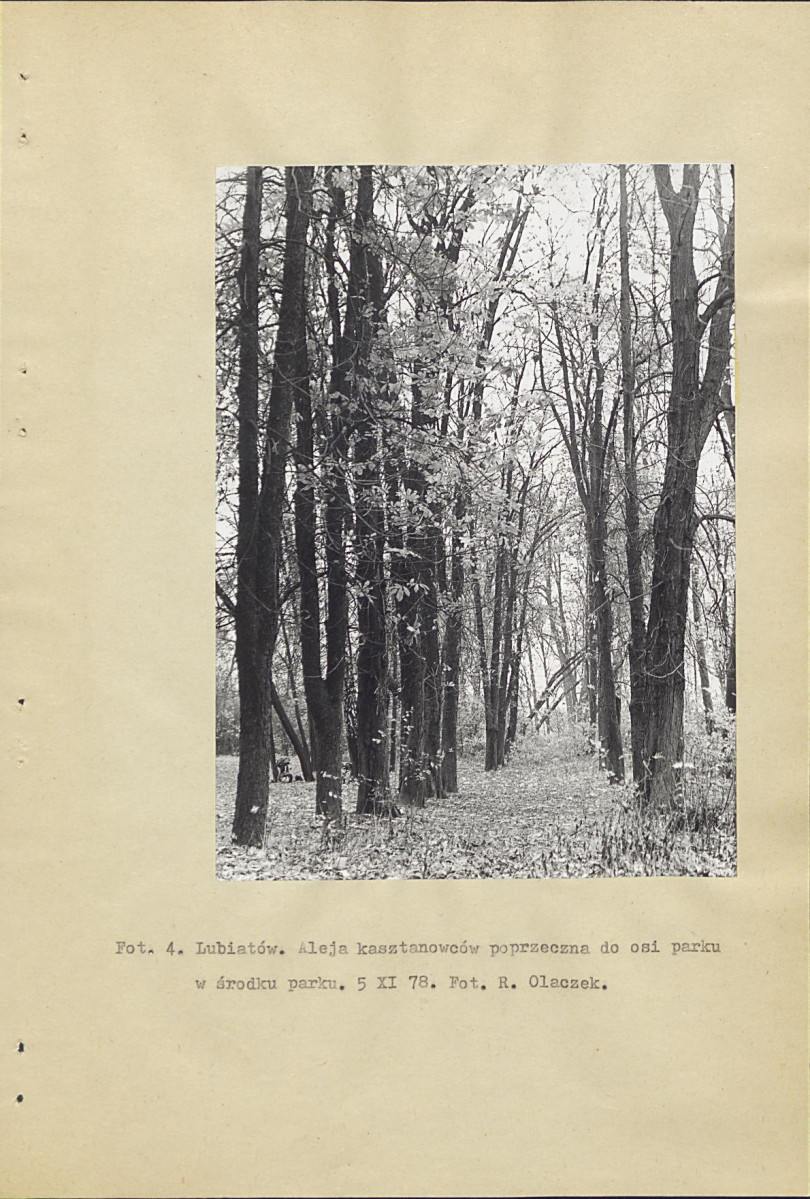 Ewidencja parkowa, skan nr 15