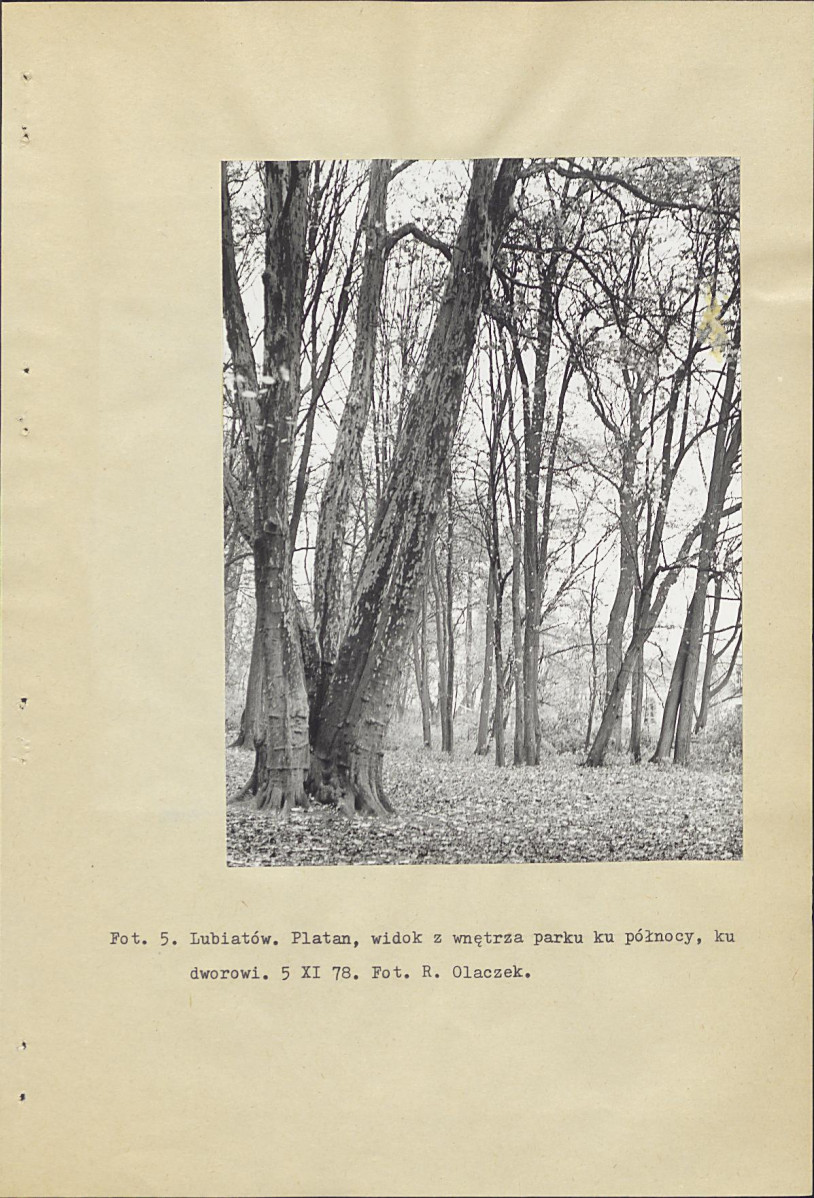 Ewidencja parkowa, skan nr 16
