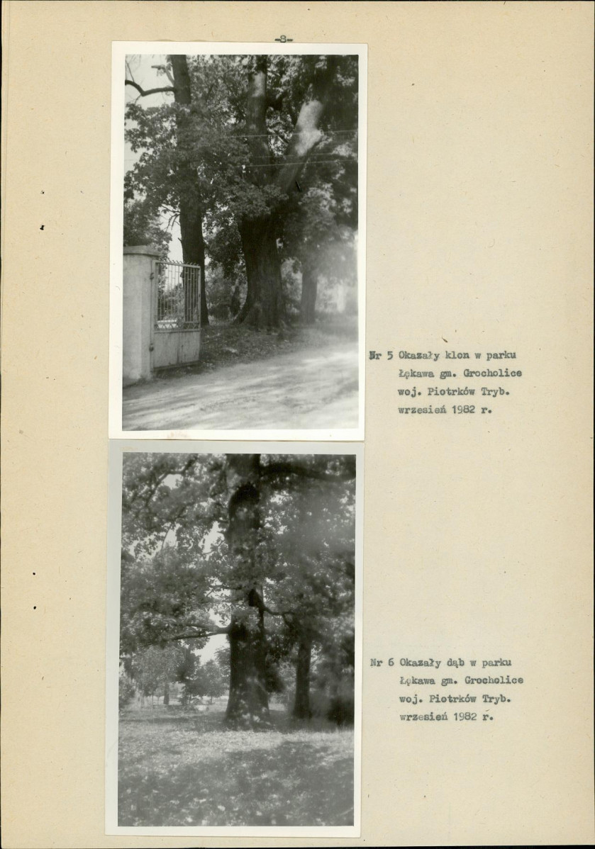 EP - Ewidencja parkowa, skan nr 20