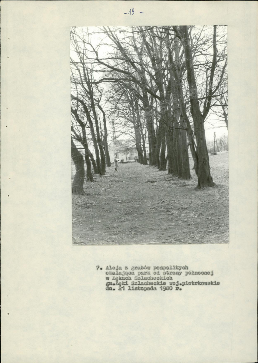 EP - Ewidencja parkowa, skan nr 26