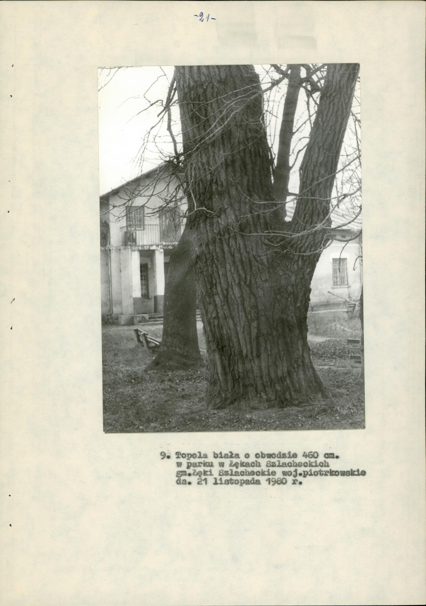 EP - Ewidencja parkowa, skan nr 28