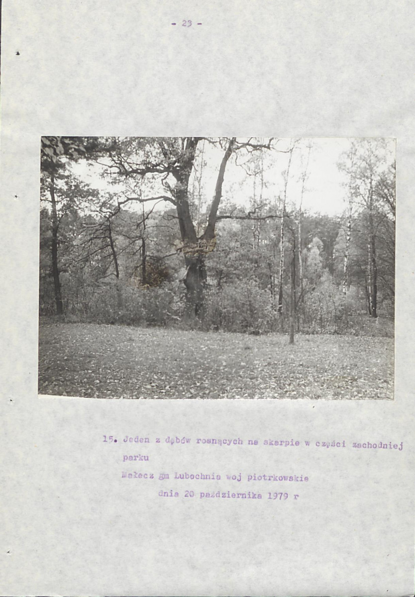 EP - Ewidencja parkowa, skan nr 28