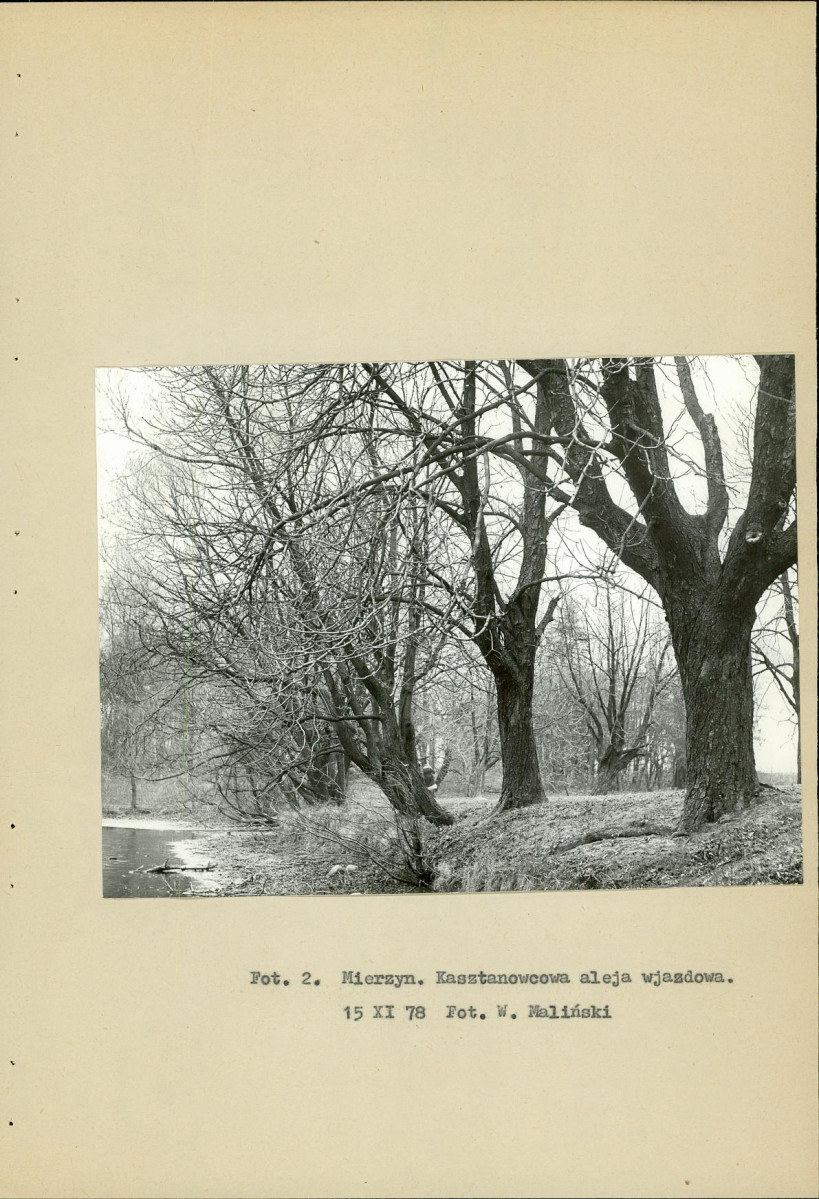 Ewidencja parkowa, skan nr 13