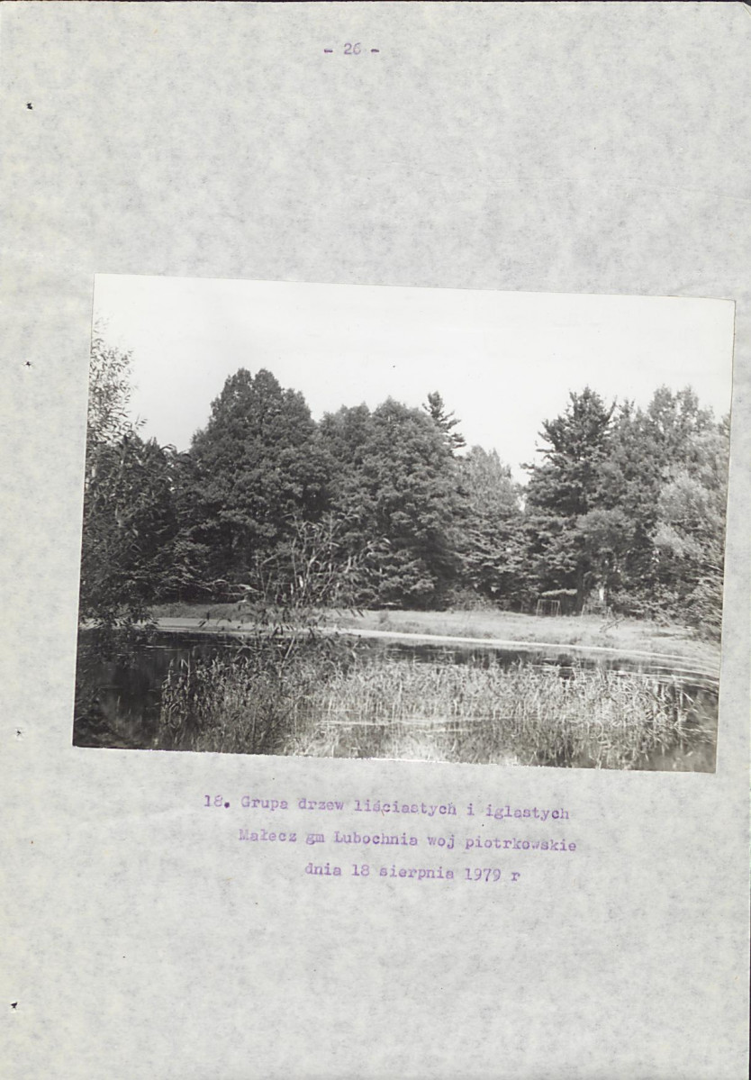 EP - Ewidencja parkowa, skan nr 31