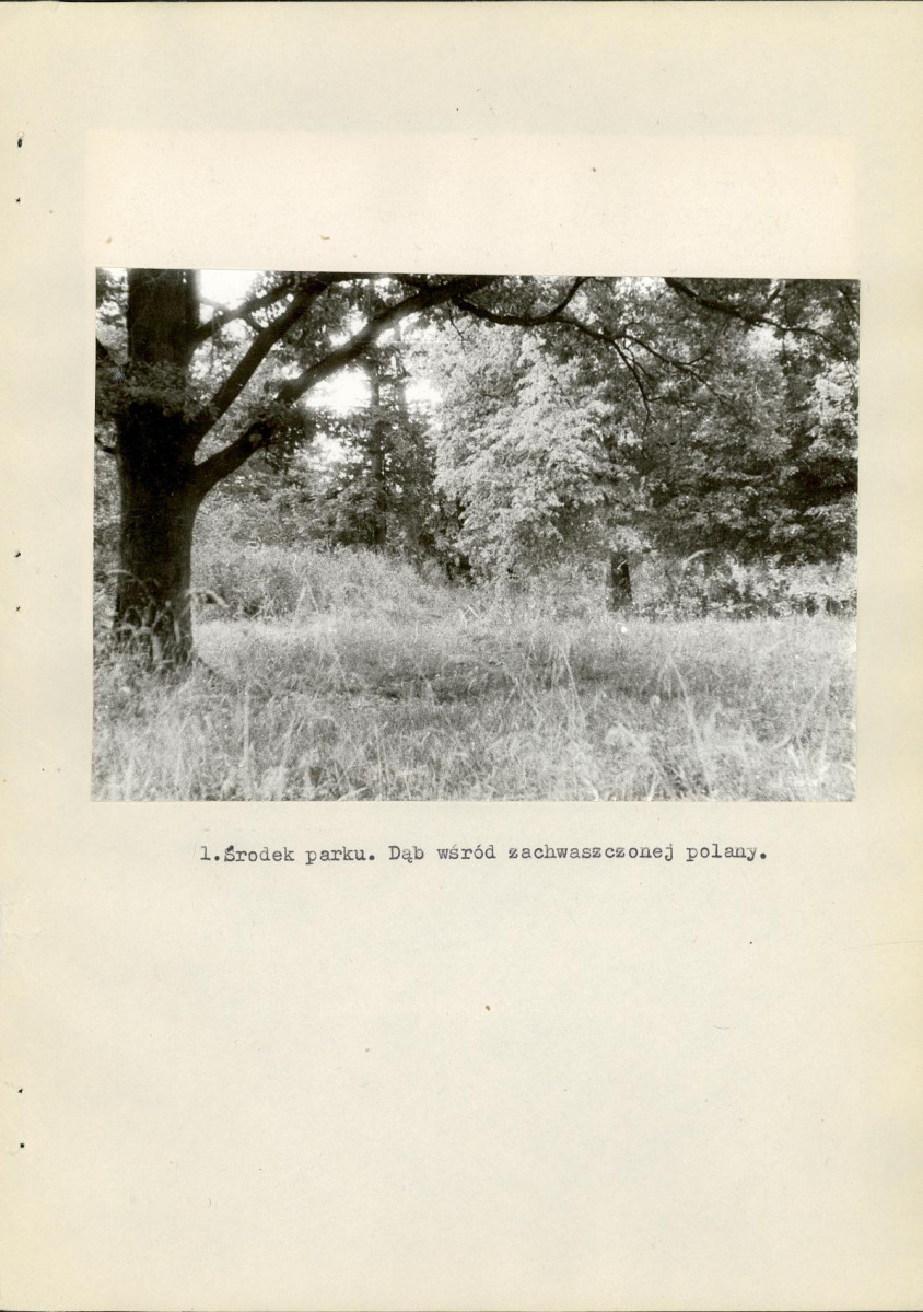 Ewidencja parkowa, skan nr 19