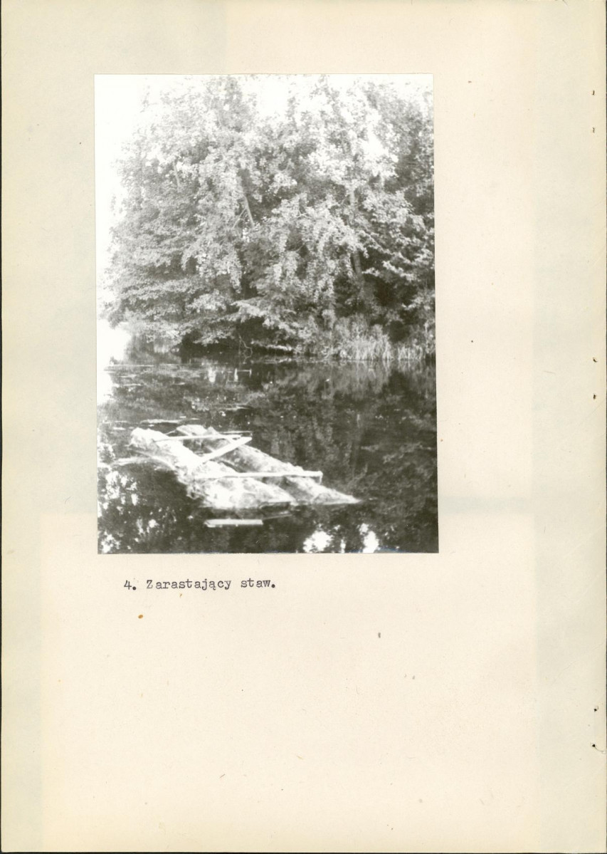 Ewidencja parkowa, skan nr 21