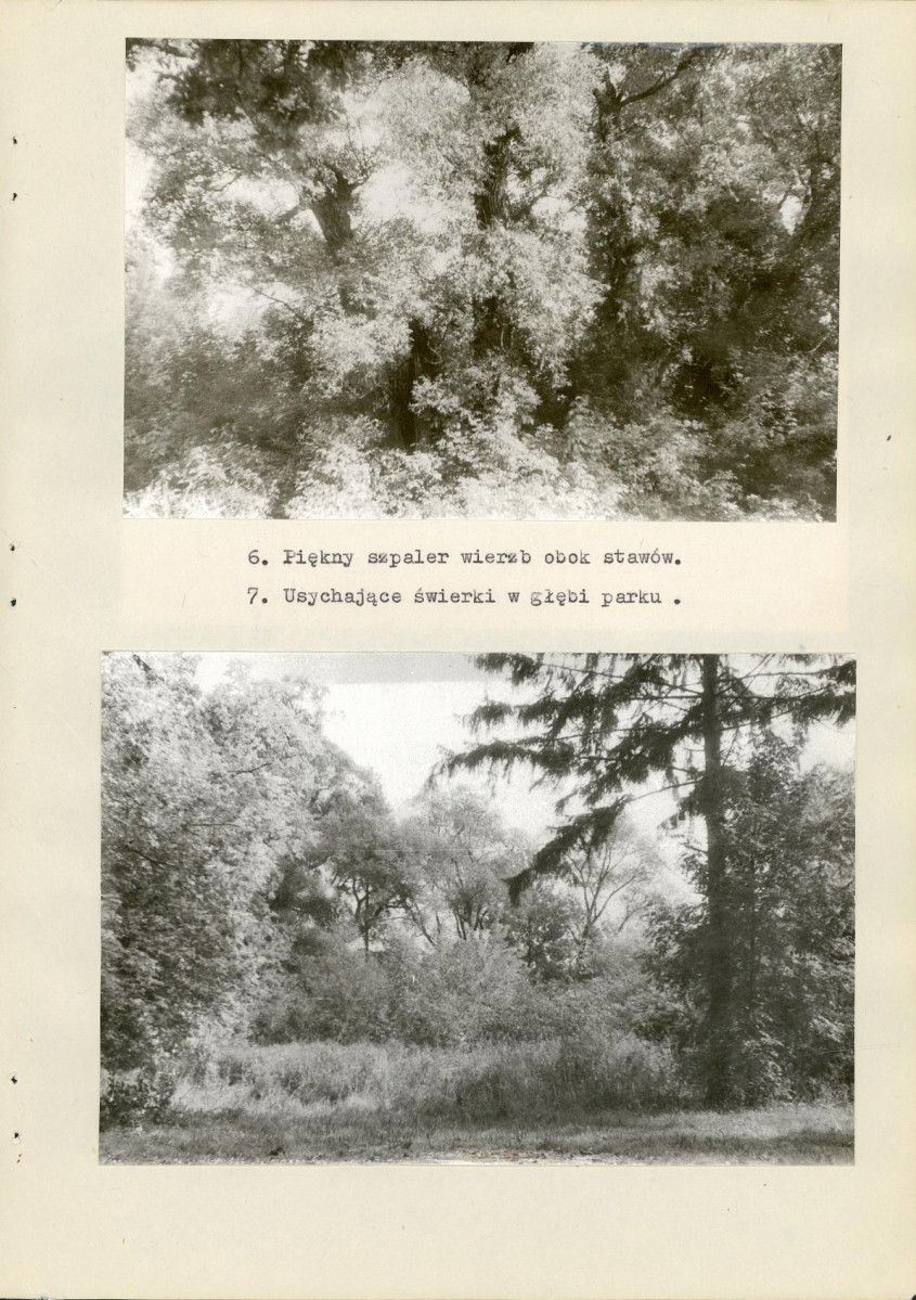 Ewidencja parkowa, skan nr 23