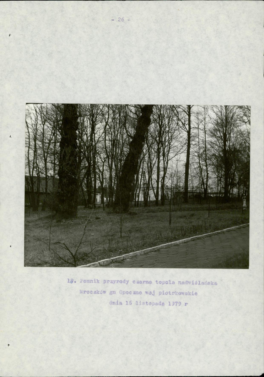 EP - Ewidencja parkowa, skan nr 31