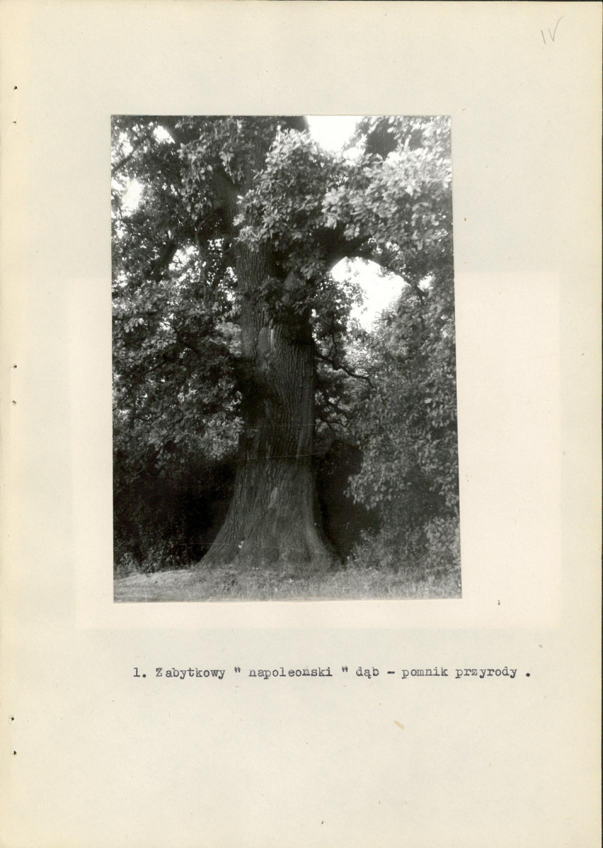 Ewidencja parkowa, skan nr 22