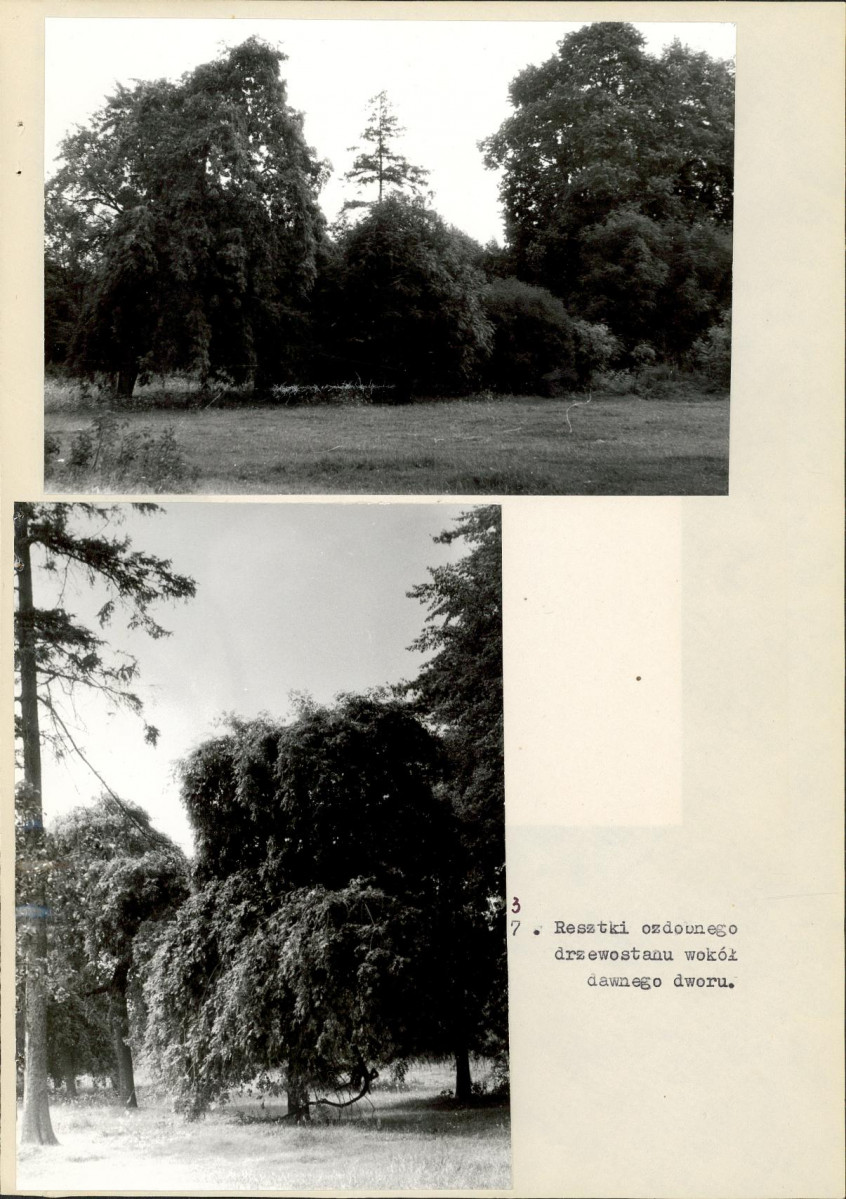 Ewidencja parkowa, skan nr 24