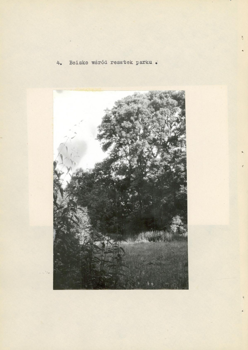 Ewidencja parkowa, skan nr 25