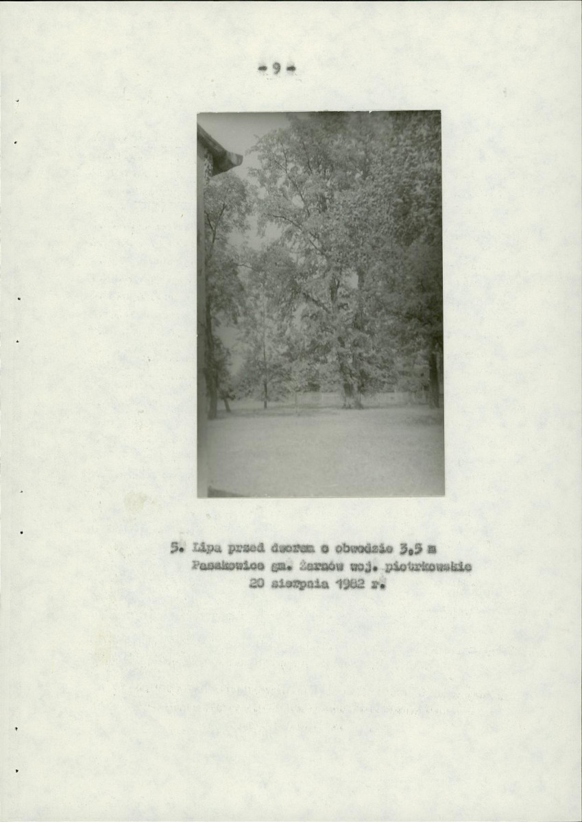 Ewidencja parkowa, skan nr 17