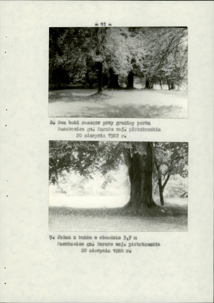 Ewidencja parkowa, skan nr 19