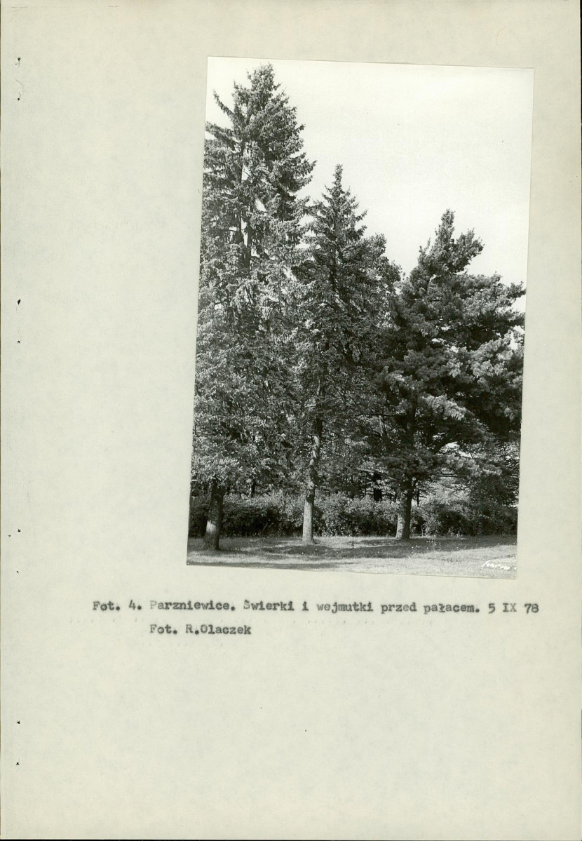 Ewidencja parkowa, skan nr 15