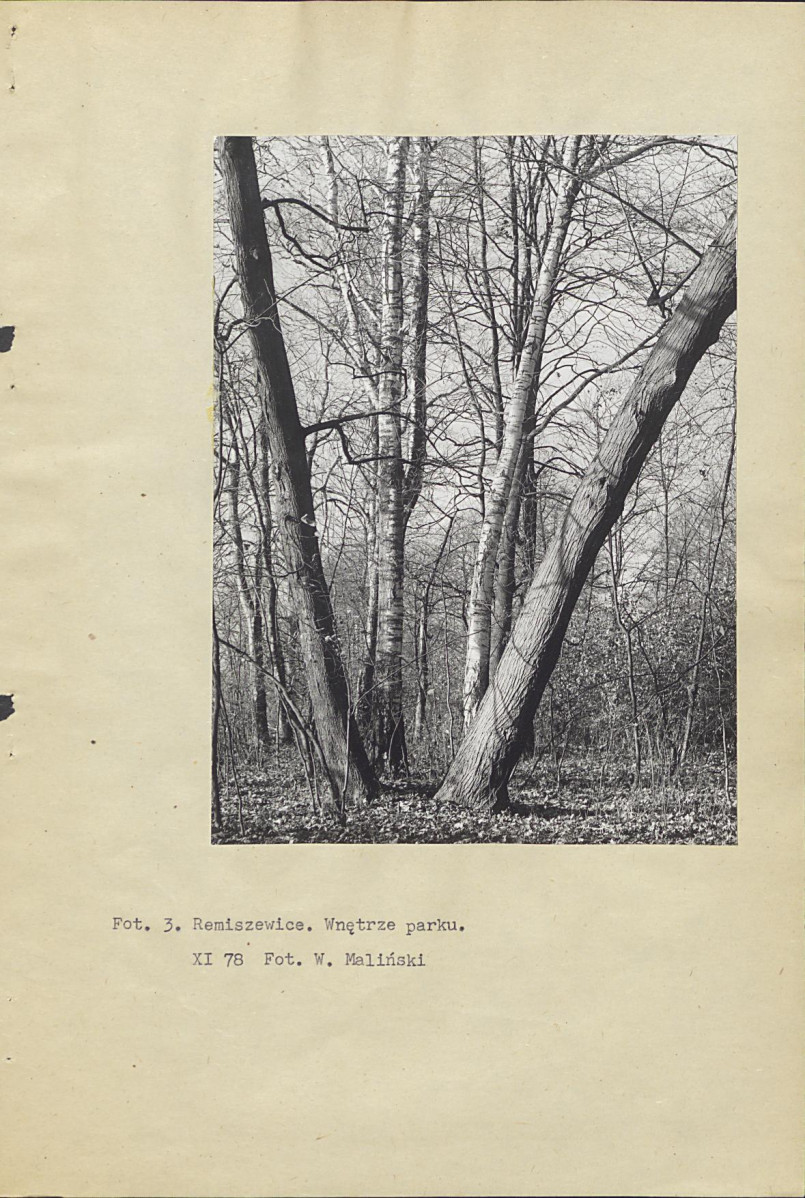 Ewidencja parkowa, skan nr 13