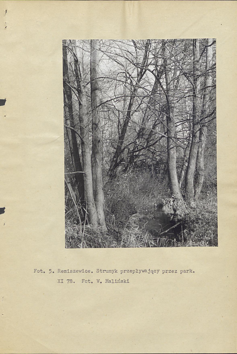 Ewidencja parkowa, skan nr 15