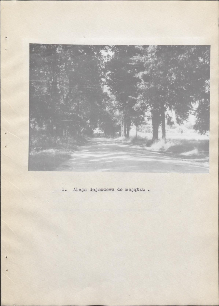 Ewidencja parkowa, skan nr 22