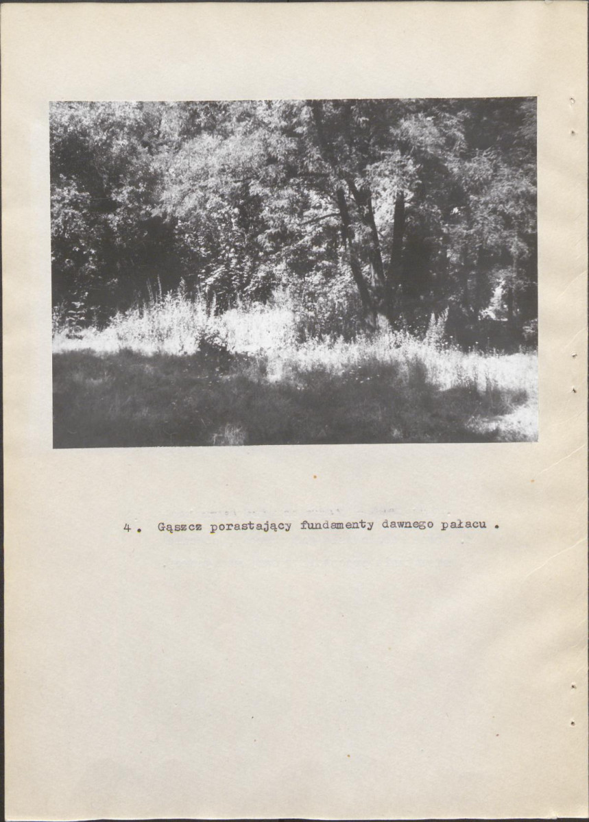 Ewidencja parkowa, skan nr 25