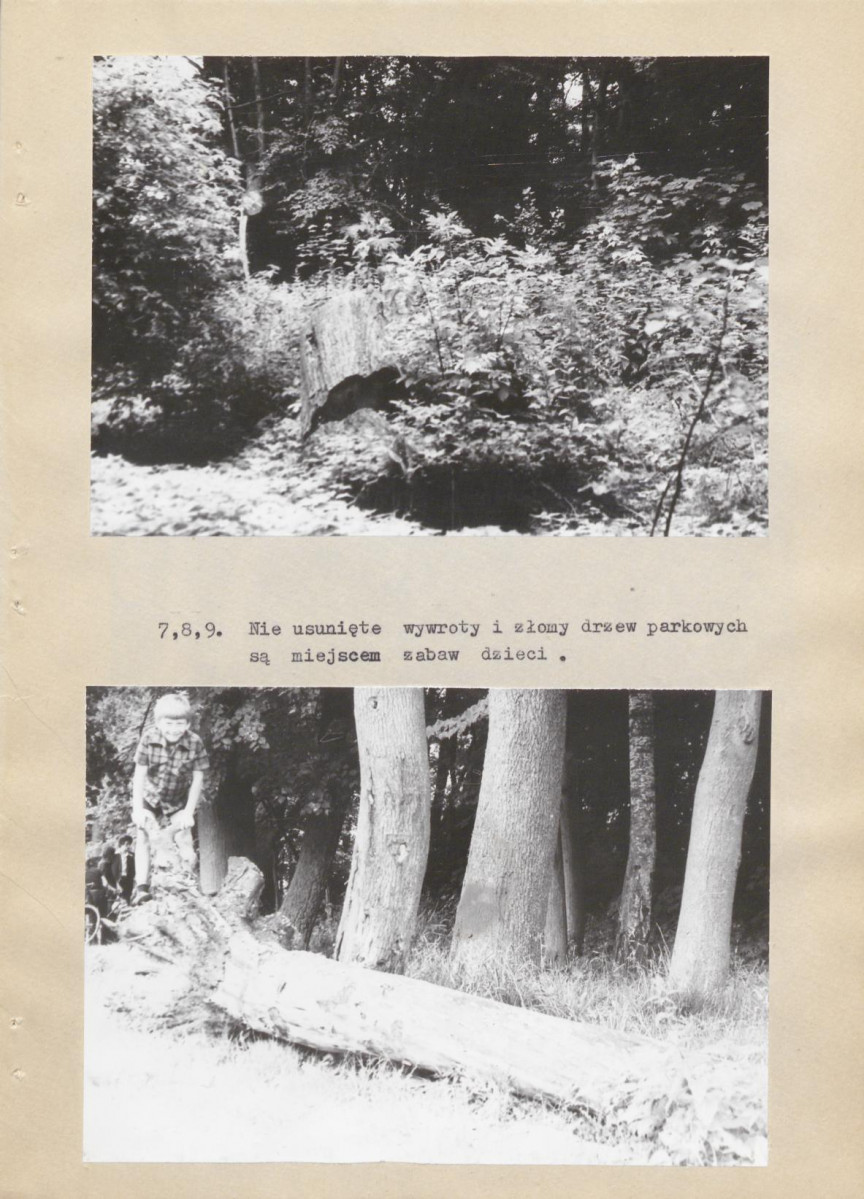 Ewidencja parkowa, skan nr 26