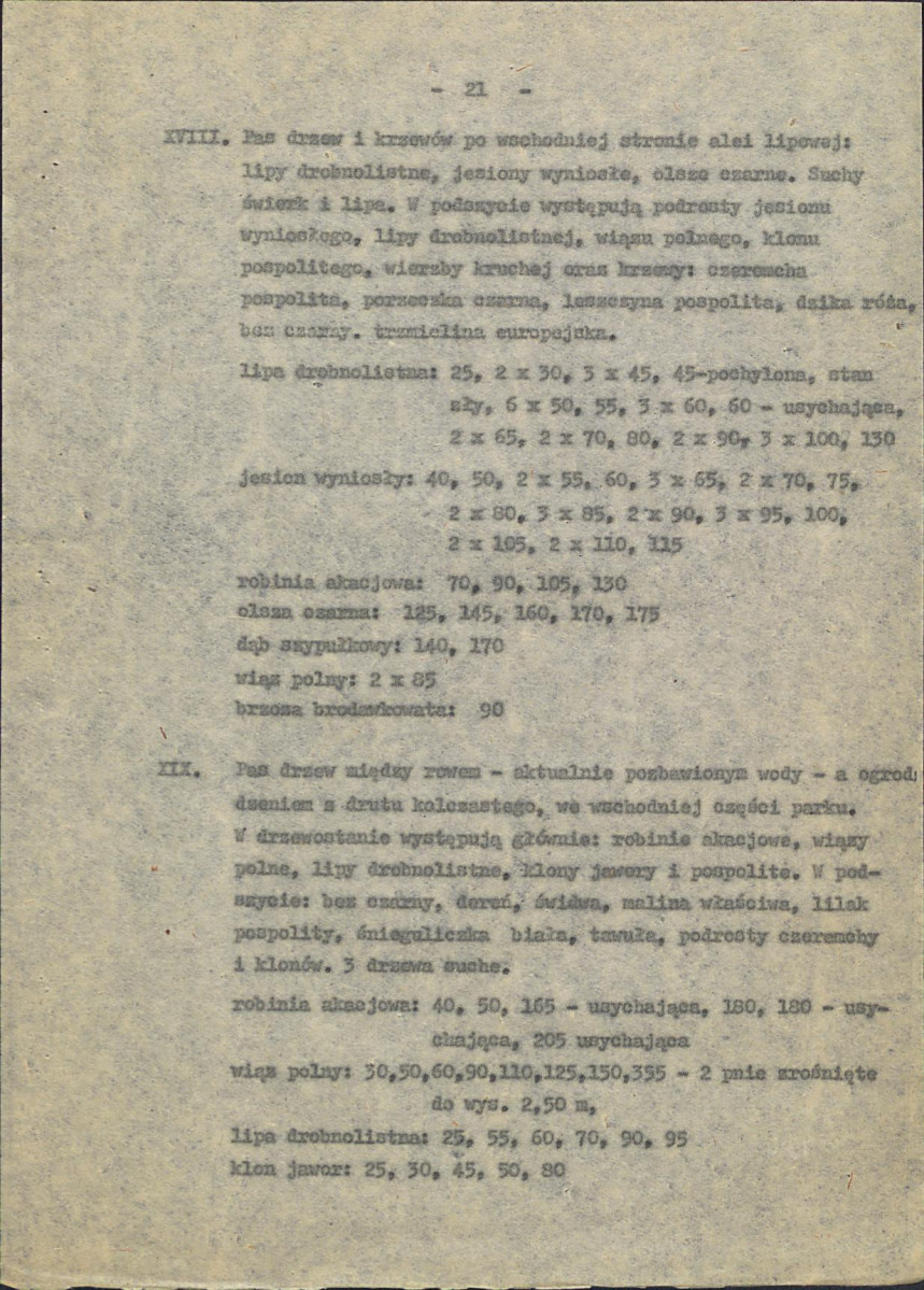 Ewidencja parkowa, skan nr 26