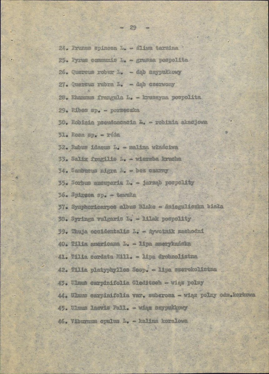 Ewidencja parkowa, skan nr 34