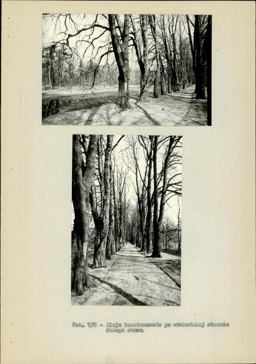 EP - Ewidencja parkowa, skan nr 38